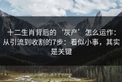 十二生肖背后的‘灰产’怎么运作：从引流到收割的7步：看似小事，其实是关键