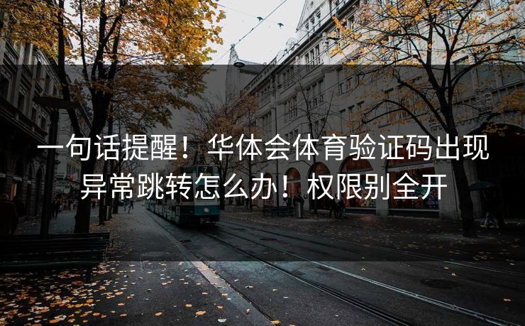 一句话提醒！华体会体育验证码出现异常跳转怎么办！权限别全开